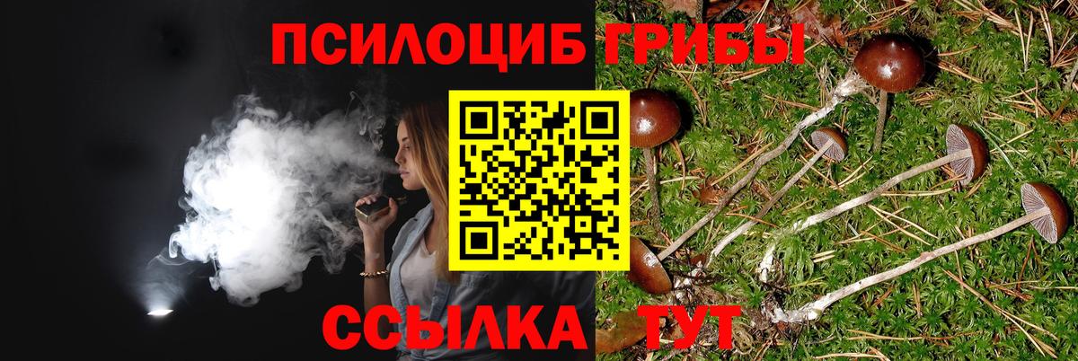 Галлюциногенные грибы Magic Shrooms Алейск