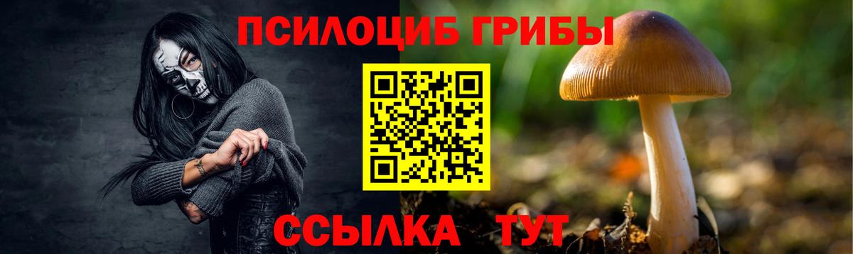 Алейск  Галлюциногенные грибы мухоморы  Псилоцибиновые грибы ЛСД  Вход с VPN 